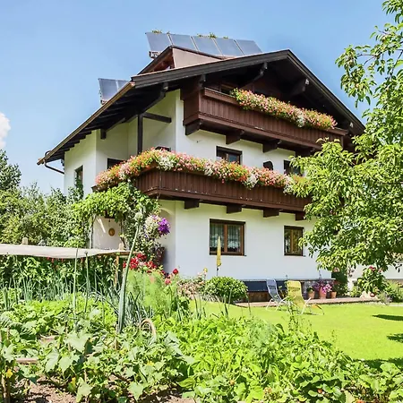 Vintage In Near Area Daire *