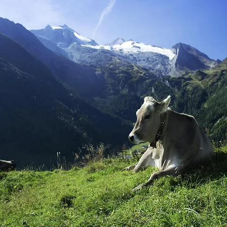 Vintage In Near Area * Фюген