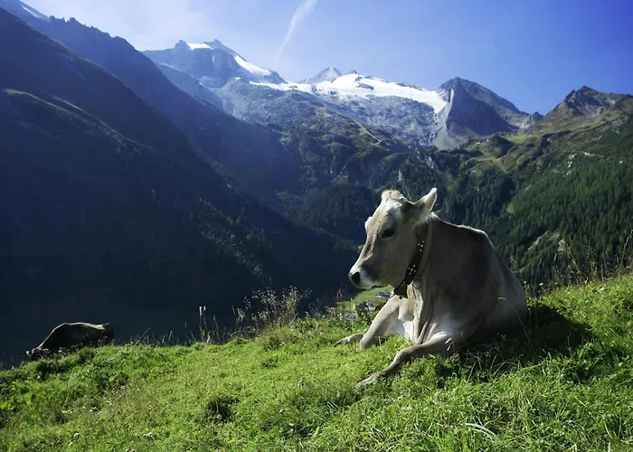 Διαμέρισμα Vintage In Near Area